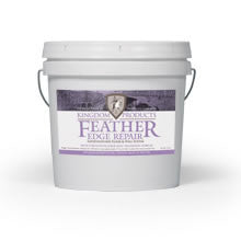 Feather Edge Repair Mortar
