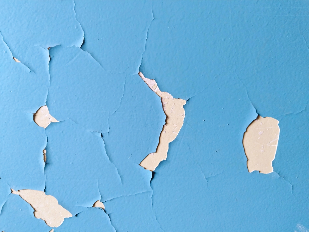Stop the Peel Choosing the Right Paint for Humid Bathrooms
