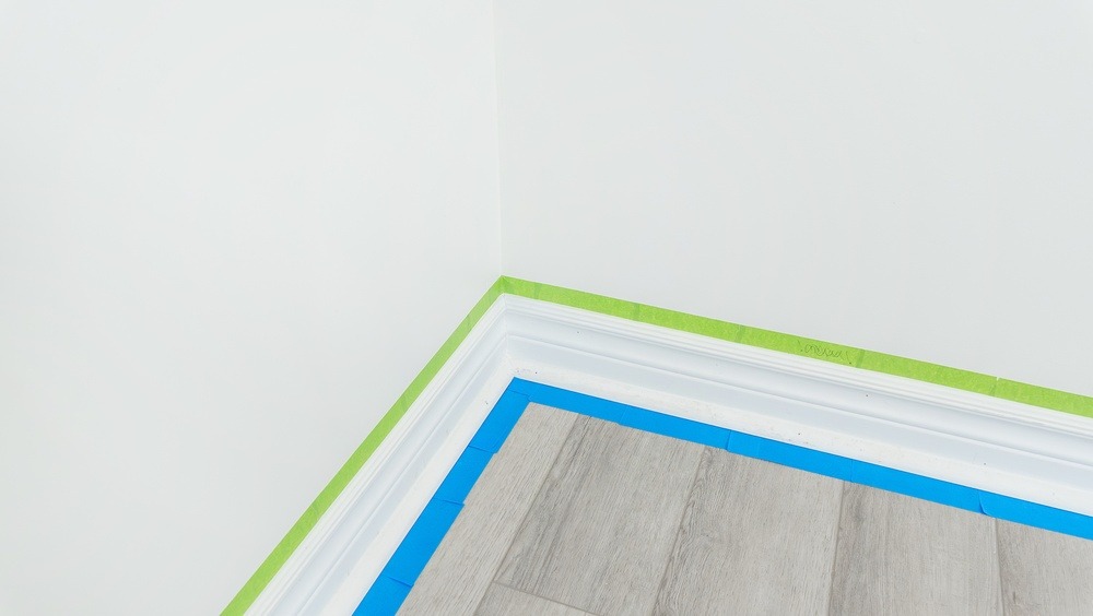 Why Benjamin Moore Paint Is Highly Rated | Dragon Scale Paint
